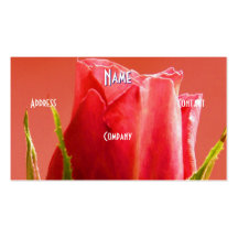 Florist - Pink Blue Rose Business Card Templates