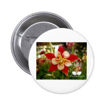 flower3.jpg buttons