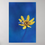 Flower #1 posters