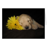 Flower Abby Greeting Card