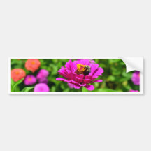 Flower and Bee Bumper Stickers