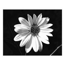 flower art photo
