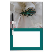 Flower Beetle Memo Board Dry Erase Board