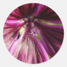 FLOWER BLOOMS ROUND STICKERS