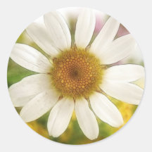 Flower Bouquet - White Daisy Sticker