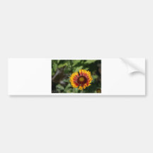 Flower Bumper Sticker