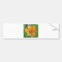 Flower Bumper Sticker