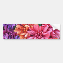 Flower Bursts Bumper Sticker