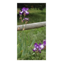 Flower Card Photo Card Template