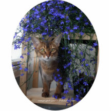 Flower Cat Cut Outs