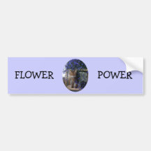 Flower Cat (oval) Bumper Sticker