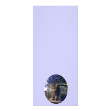 Flower Cat Rack Cards