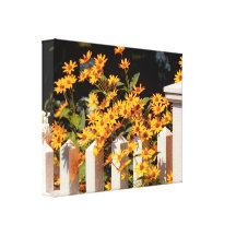 Flower - Coreopsis - The warmth of Summer Gallery Wrapped Canvas