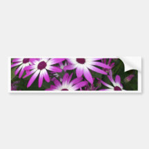 flower daisy bumper sticker