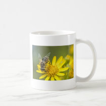 Flower Fly on Tansy Ragwort mugs