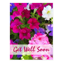 flower garden Get Well Soon Post Card