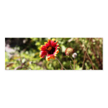 Flower Garden Skinny Business Card