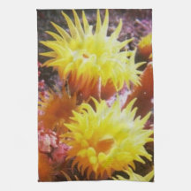 FLOWER KITCHEN TOWELS