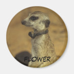 Flower Magnet