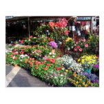 Flower Market At Nice In France Post Card
