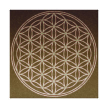 Flower of Life Stretched Canvas Prints