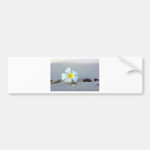 Flower on beach bumper stickers