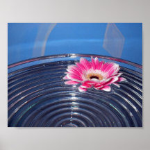 Flower on Water Posters