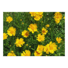 Flower party invitations