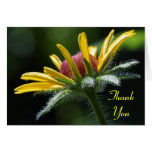 flower petals Thank You Note Card