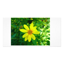 Flower Photo Card
