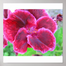 flower print