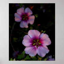 Flower Power 2 Posters
