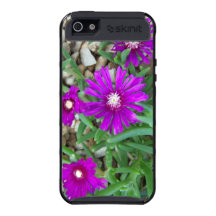 Flower Power Collection Covers For iPhone 5
