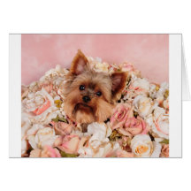 Flower pup cards