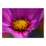 Flower Purple Greeting Card