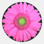 Flower Round Sticker