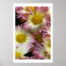 Flower Surfing Poster
