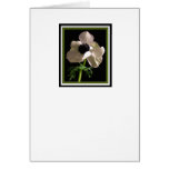 Flower Sympathy Card