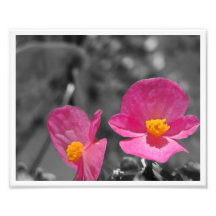Flower V - Pink On Grey Art Photo