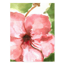 Flower,water colour, tropical post cards
