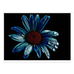 Flower Water Wenskaart