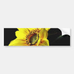 Flower Yellow Macro Photo Bumper Sticker