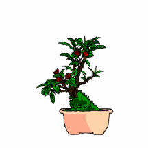 Flowering Bonsai in Pink Square Pot Cut Outs