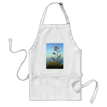 Flowering New Zealand flax Cape Reinga Aprons
