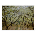 Flowering Trees Post Cards