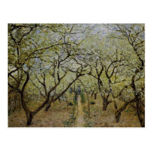 Flowering Trees Post Cards