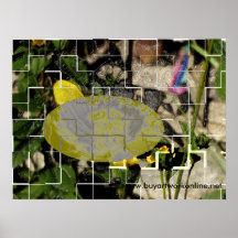 flowers1, www.buyartworkonline.net print