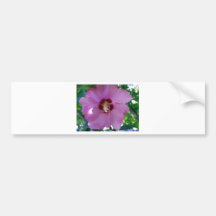 Flowers Bumper Stickers