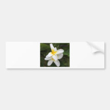 flowers bumper stickers