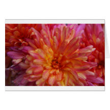 Flowers Card
